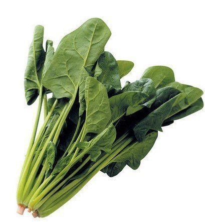 ほうれん草