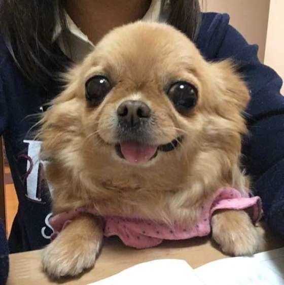 ヒナちゃん