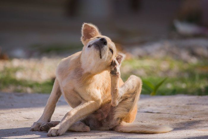 画像/iStock、Getty Images Plus
