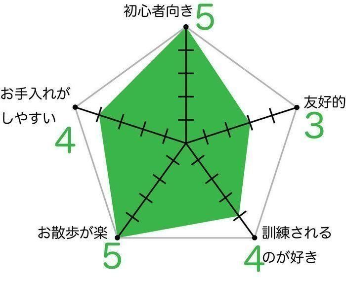 チワワ チャート