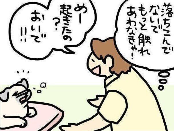 【連載】パグ犬・めー vol.114