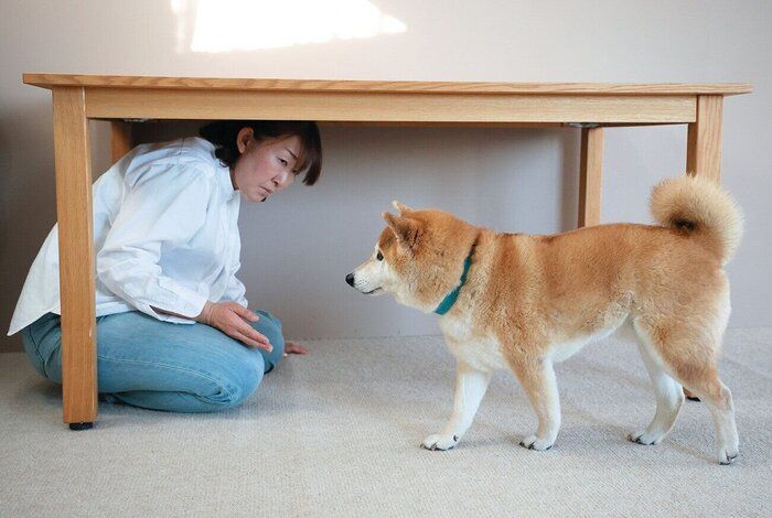 机の下で愛犬を呼ぶ飼い主