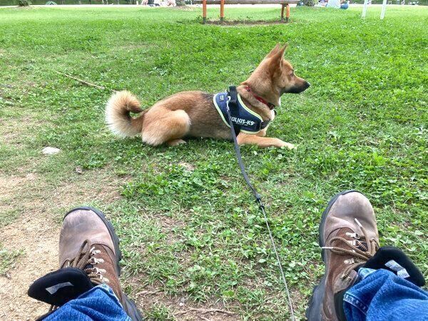 週末にしか来れない公園で「帰らないマン」になるいのちゃん