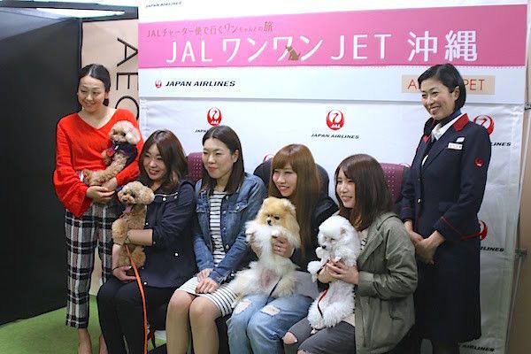 JALワンワンJET沖縄