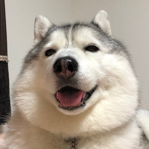 微笑むシルビアちゃん