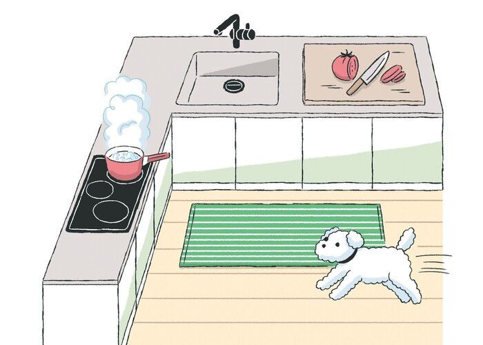 キッチンを歩き回る犬