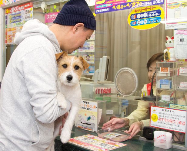 ②好きな枚数を購入