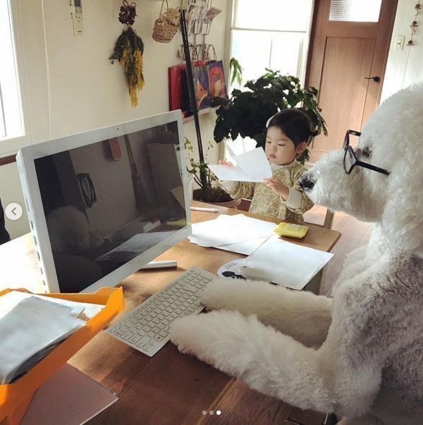 スタンダード・プードルと女の子