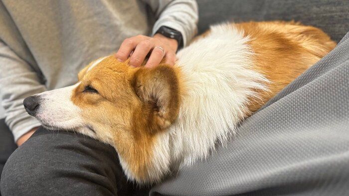 甘えん坊なラッキーくん