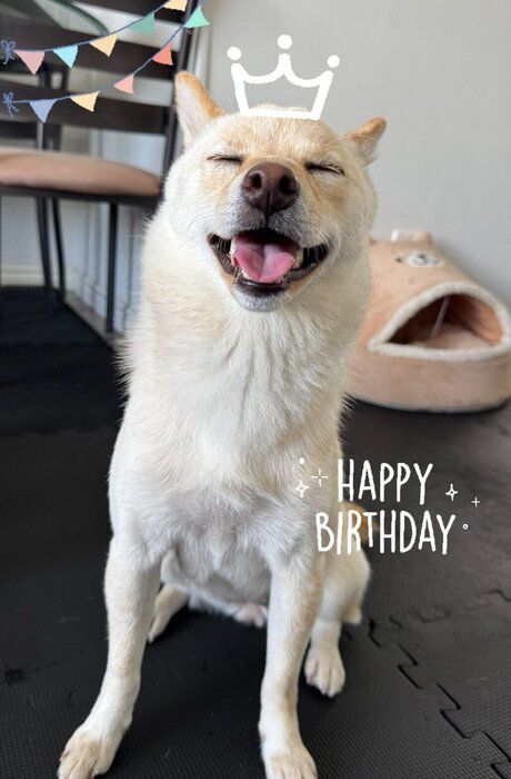 1才になったふぐちゃん