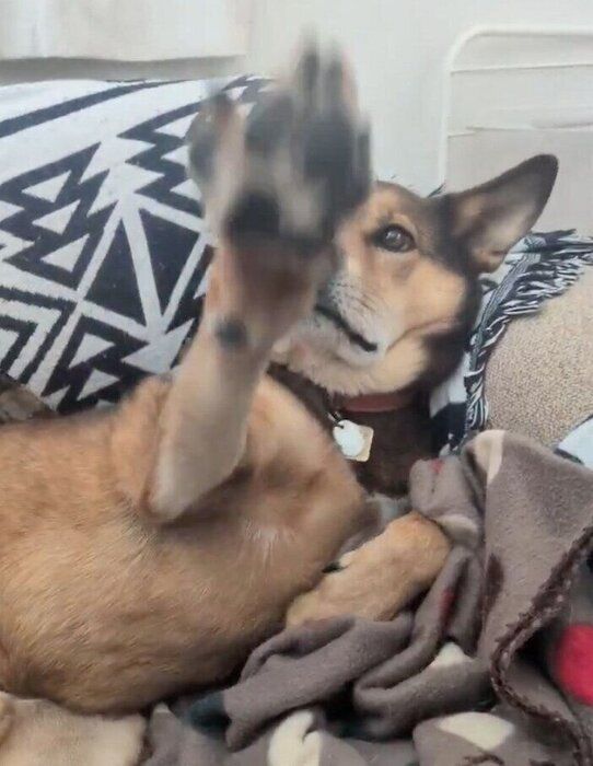 �İ������뾮��Ϻ����