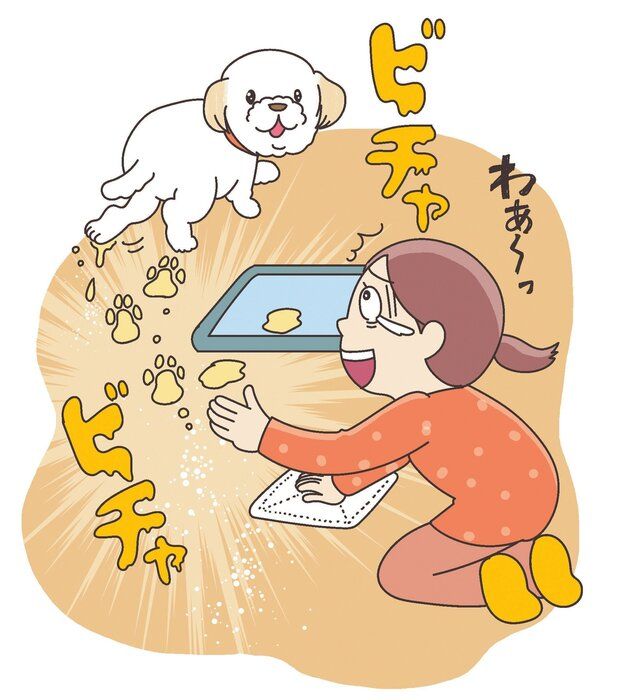 イラスト／藤井昌子