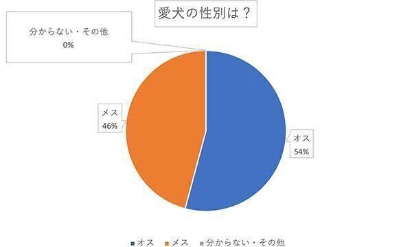 愛犬の性別は?