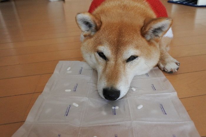 (´・ω・`)