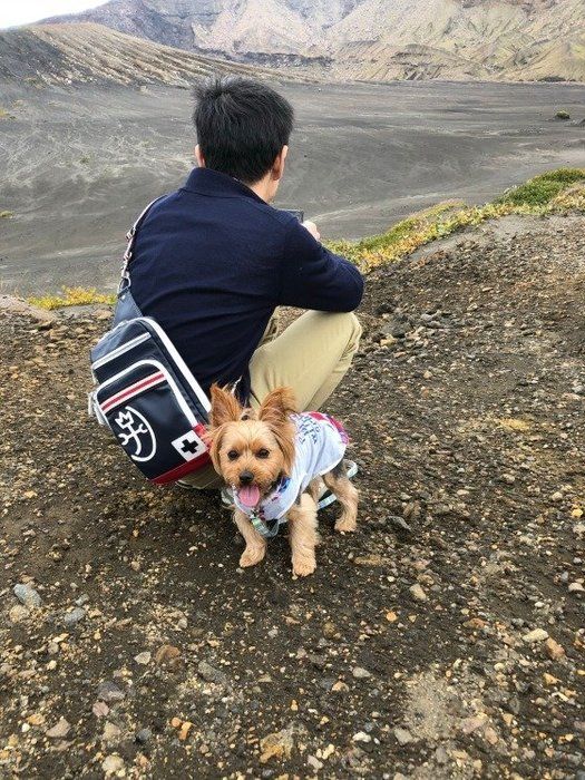 ヨーキー