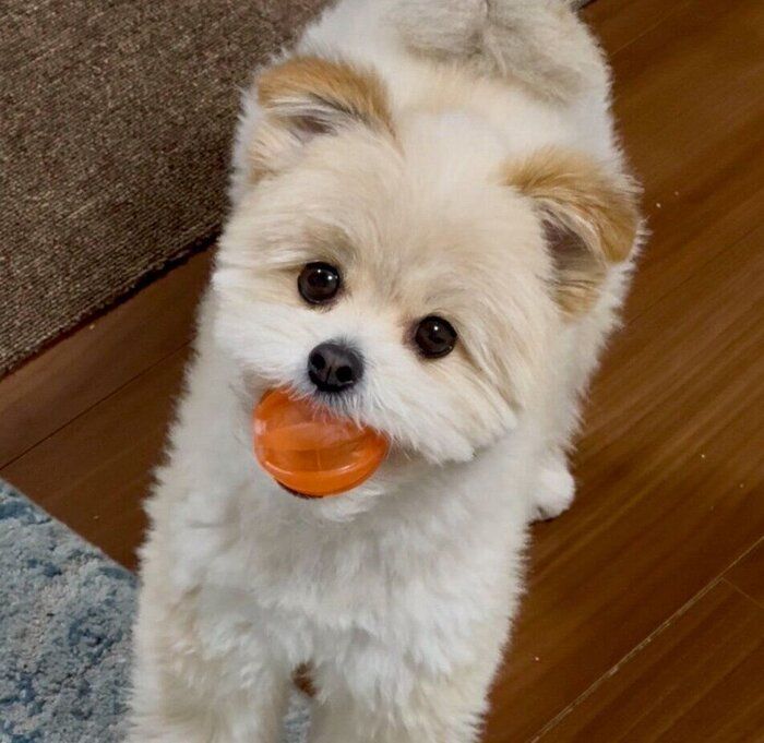 「遊ぼう」と誘ってくるちくわくん