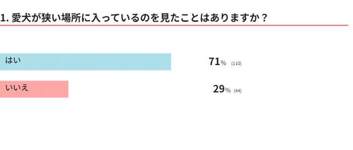 愛犬は狭いところに入る？