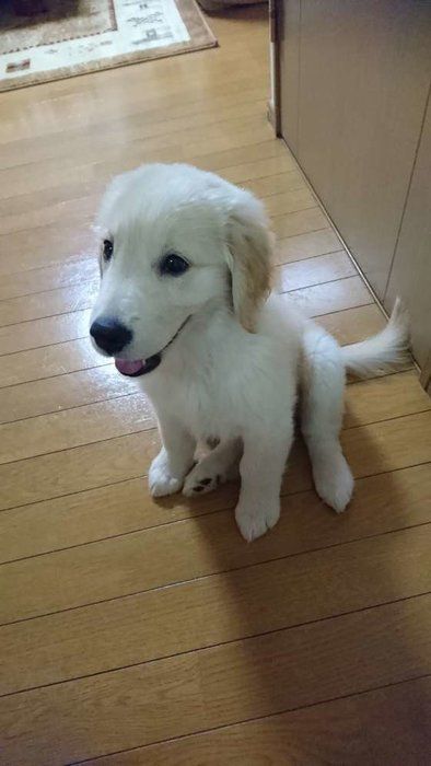 リクちゃん