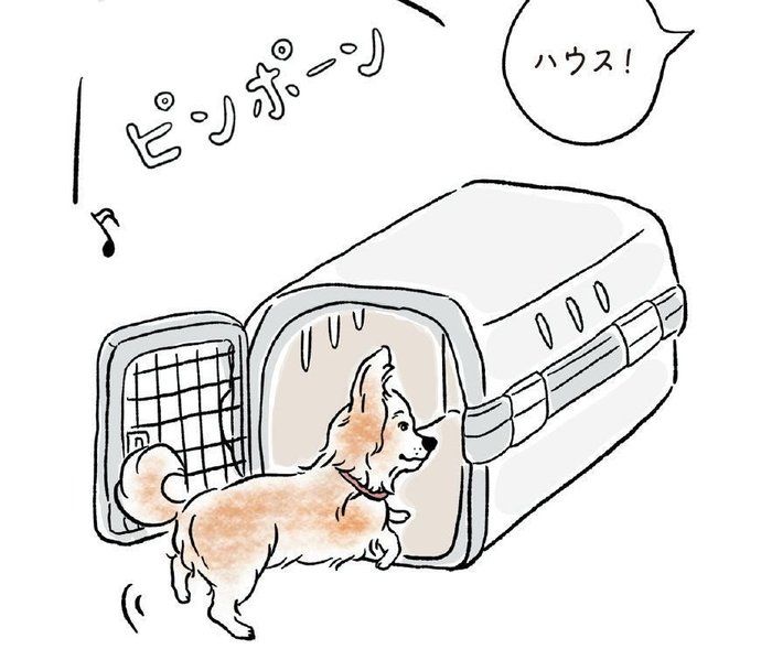 チャイム音に吠えるなら、チャイムが鳴ったらすみやかに「ハウス」と指示して、ハウスの中でごほうびを与えて。「チャイム=ハウスに入るとイイコトがある」と教えます(イラスト/iina)