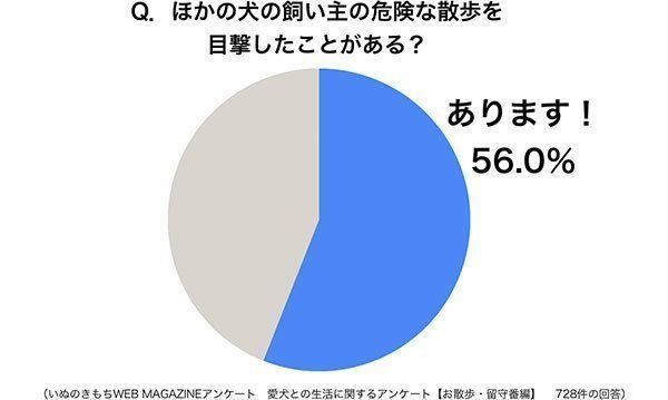 グラフ:ほかの犬の飼い主の危険な散歩を目撃したことがある?
