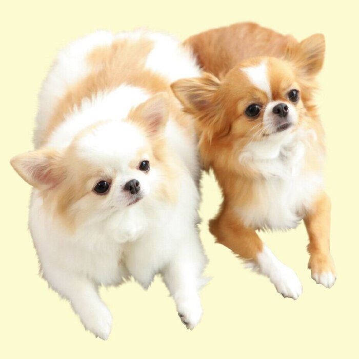 撮影／尾﨑たまき