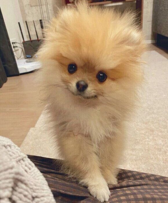 見つめるミサイルちゃん