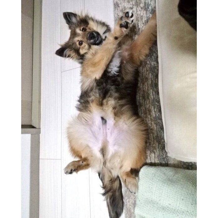 生後6カ月のころのポン太郎くん