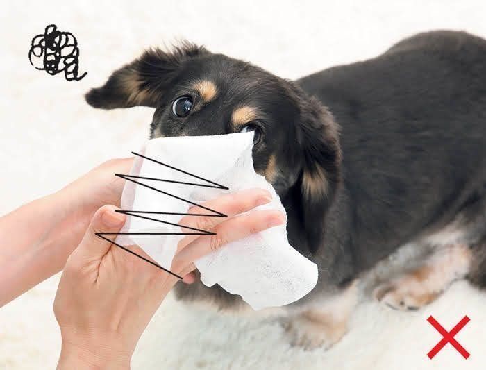 NGな犬の口の拭き方