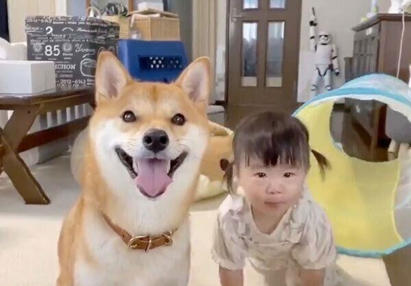 りんご郎くんと妹ちゃん