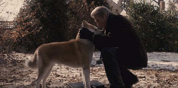 HACHI 約束の犬