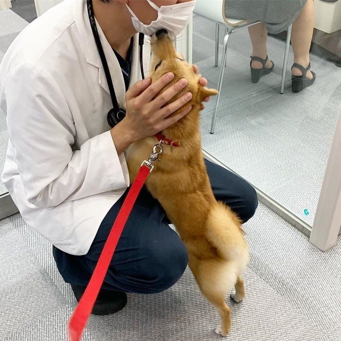 おまめちゃん