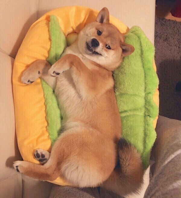 ニヒヒ…と笑うタッちゃん