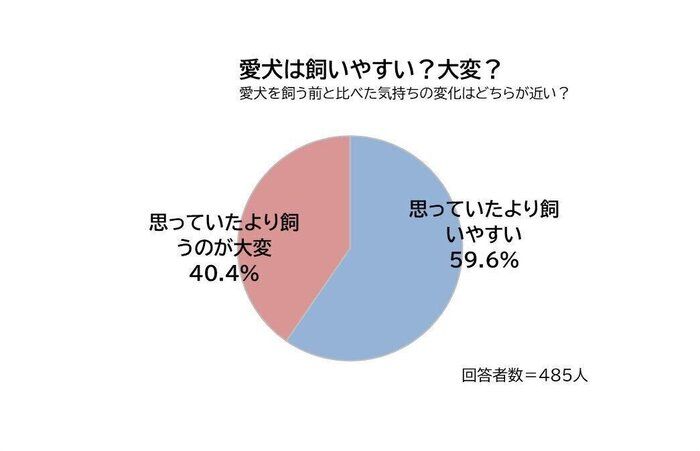 愛犬は飼いやすい？思っていたより大変？