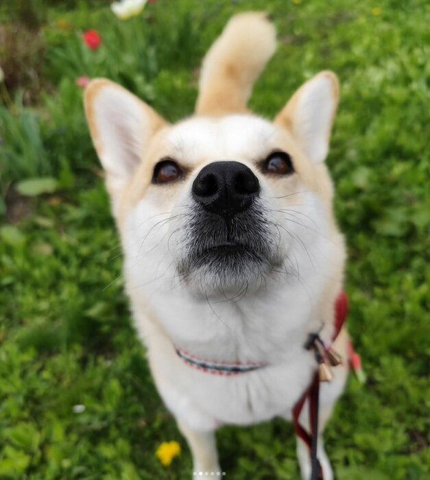 見つめる咲季ちゃん