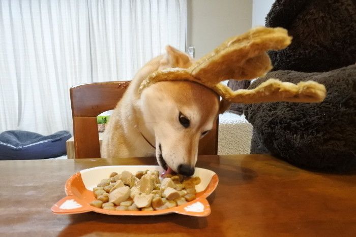 いただきます!