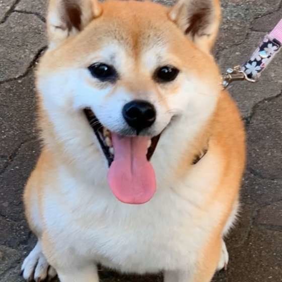 笑顔がかわいい♡まるちゃん