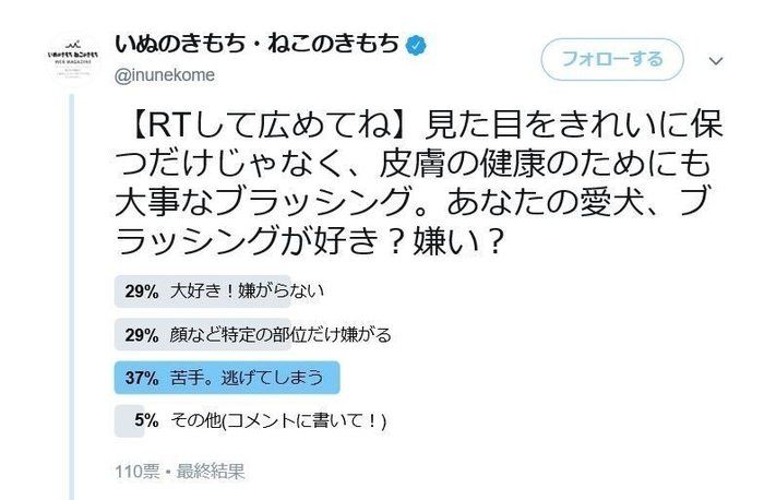 ツイッターアンケート ブラッシング