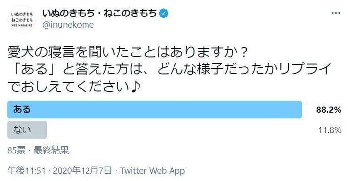 愛犬の寝言についてのアンケート結果