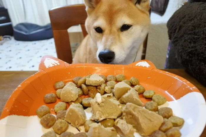(´・ω・`)