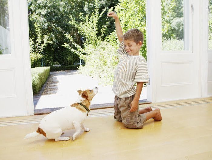 犬と男の子