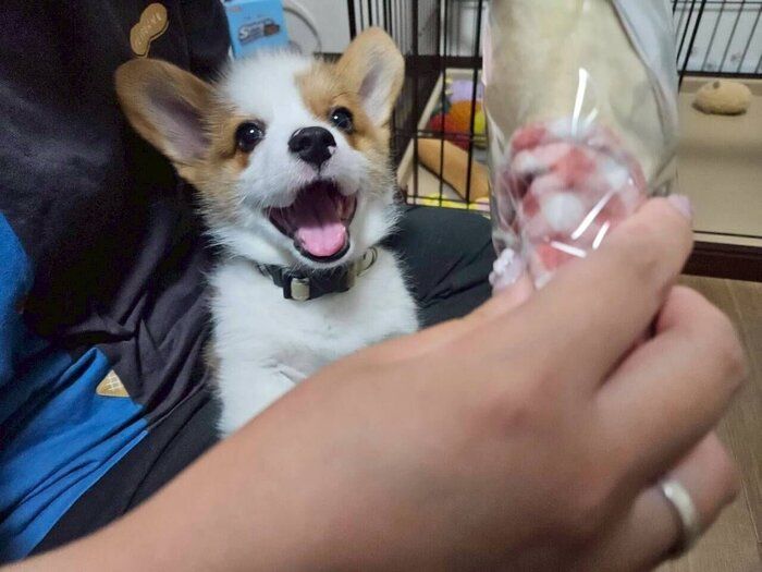 生後100日のお祝いをしてもらううにくん