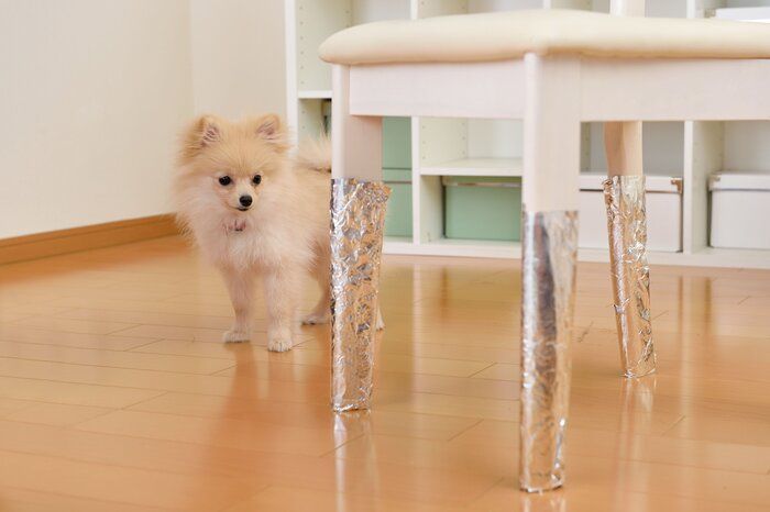 噛めない環境づくりが大切