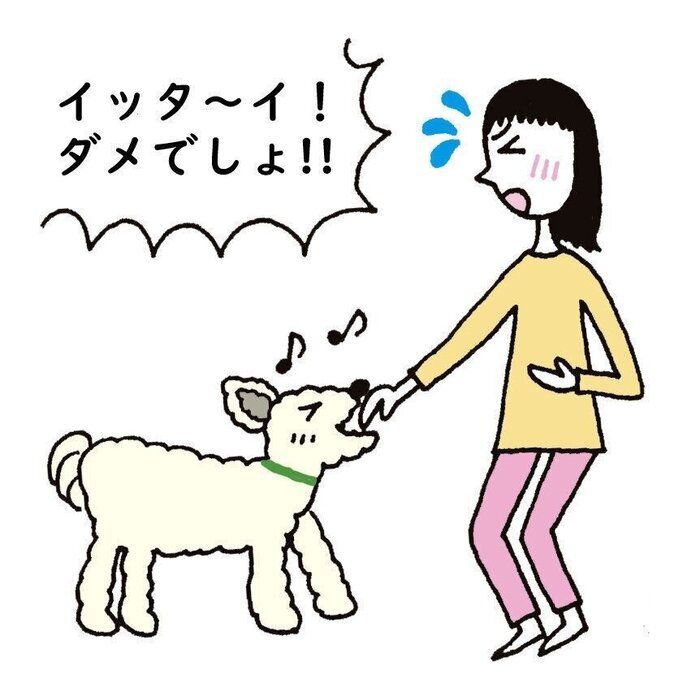 いぬのきもち チャンスイット