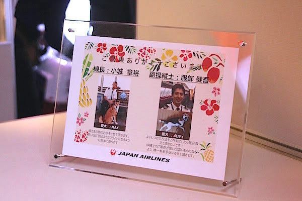 JALワンワンJET沖縄