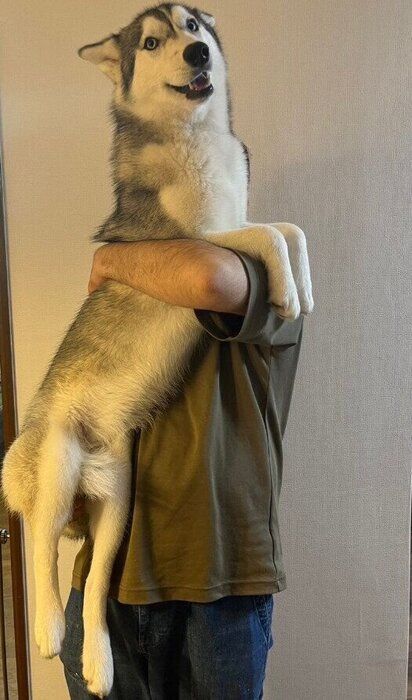 ����7����Υ��٥ꥢ�󡦥ϥ�����