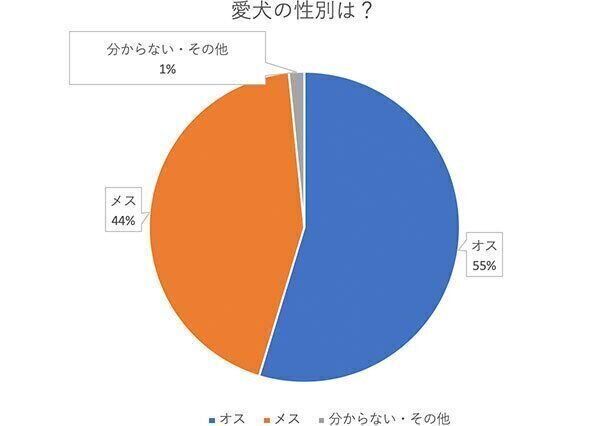 愛犬の性別は?