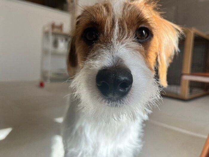 �̤������ͻҡ������礵��򸫤Ĥ��Ѥ�����