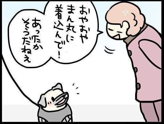 【連載】パグ犬めー vol.86