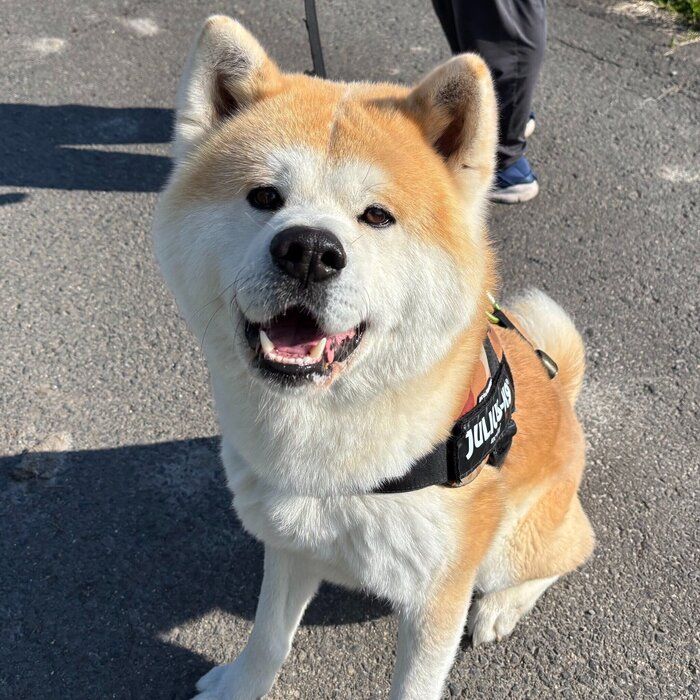 笑顔が可愛いむう太くん