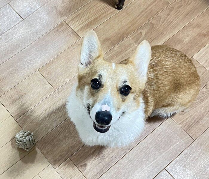 現在のちくわちゃん